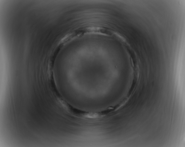 X0000085300762200703302000