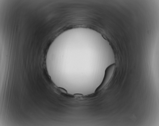X0000085300764200703302000