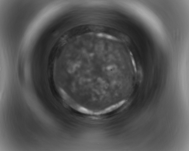 X0000085300765200703302000