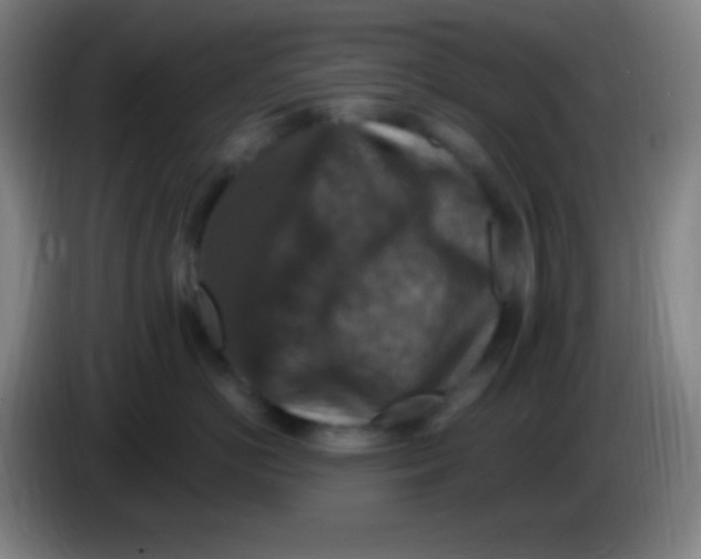 X0000085300766200703302000