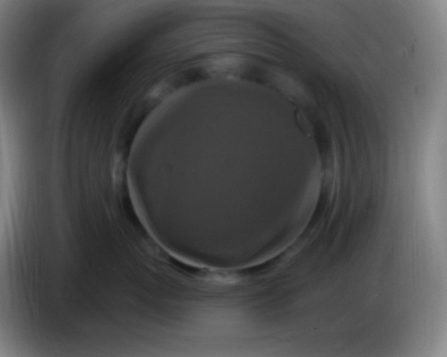 X0000085300767200703302000