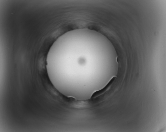 X0000085300768200703302000
