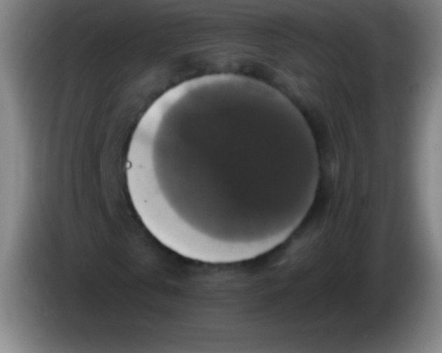 X0000085300769200703301959