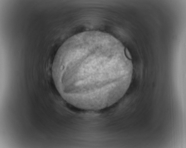 X0000085300770200703301959