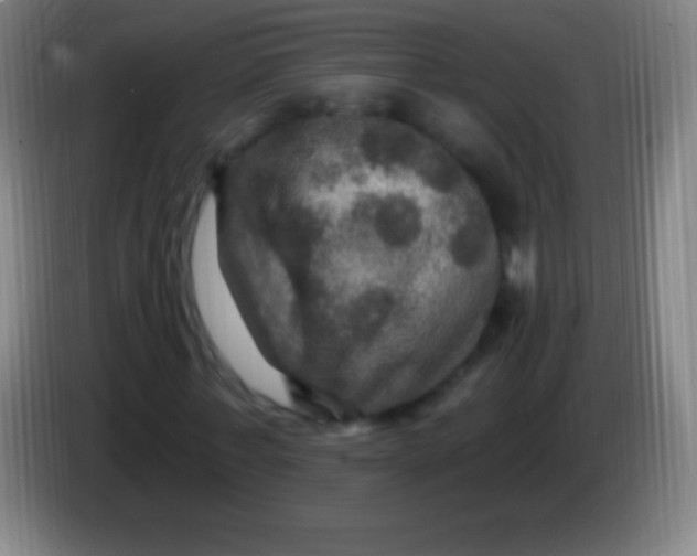 X0000085300771200703301959
