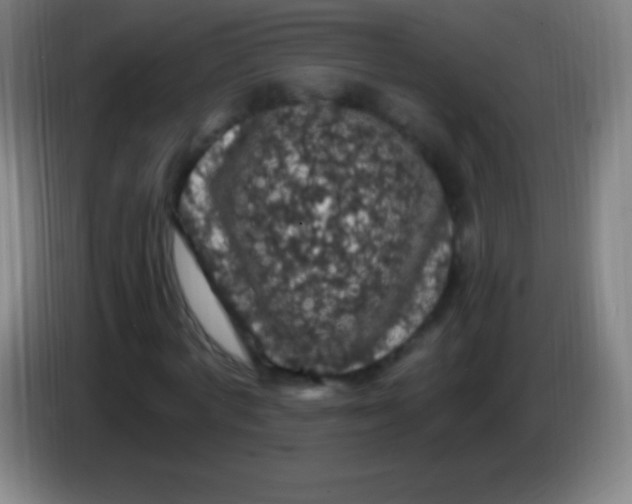 X0000085300772200703301959