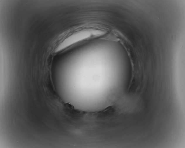 X0000085300773200703301959