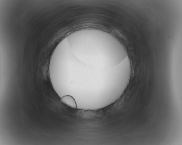 X0000085300774200703301959