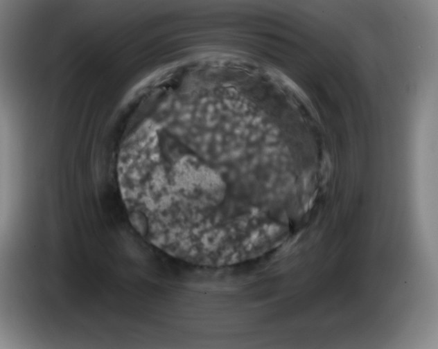 X0000085300775200703301959