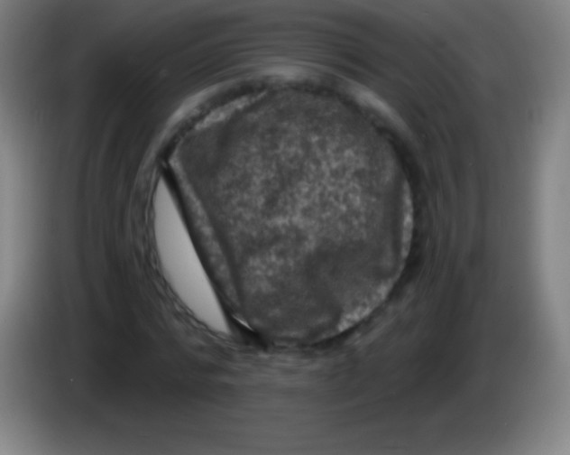 X0000085300776200703301959