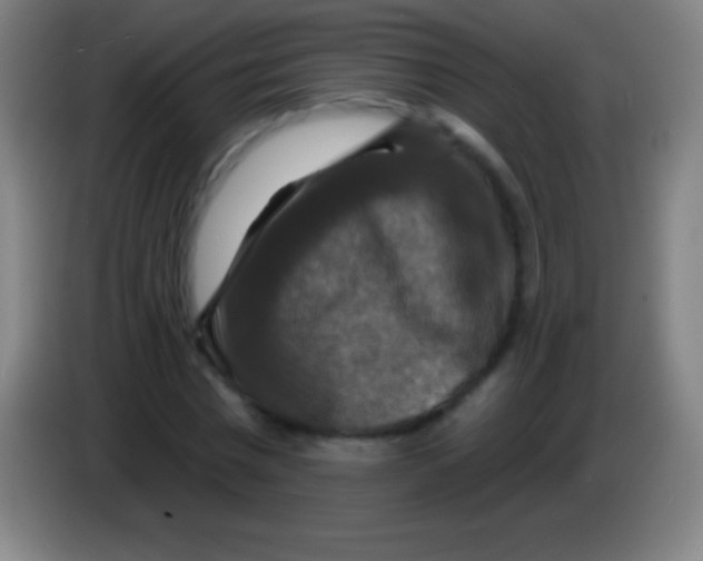 X0000085300777200703301959