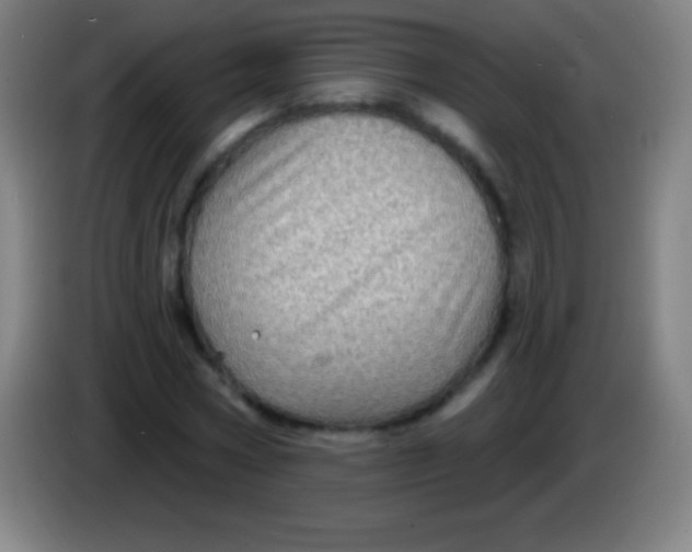 X0000085300778200703301959