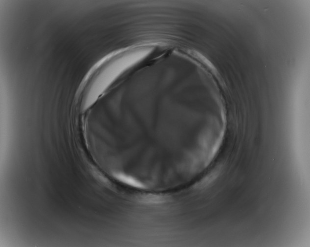 X0000085300779200703301959