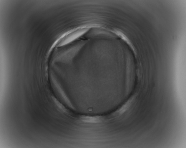 X0000085300781200703301959