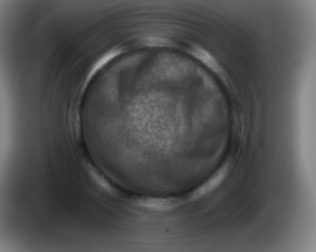 X0000085300782200703301959