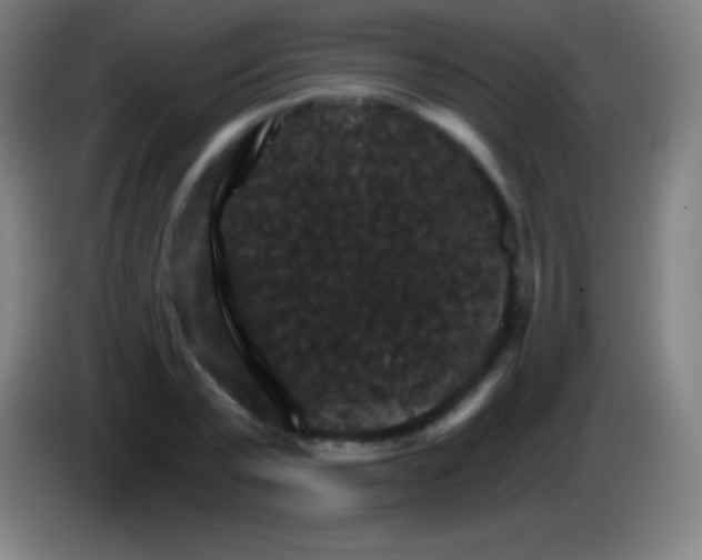X0000085300783200703301959