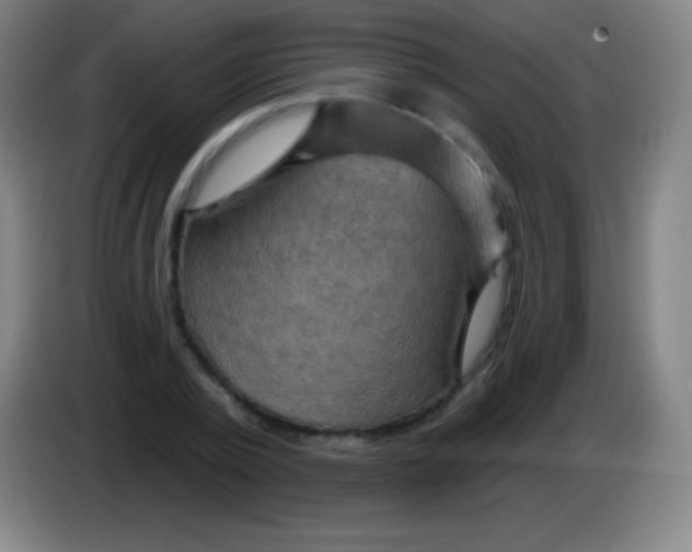 X0000085300784200703301959