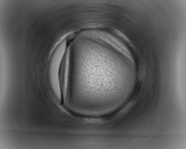 X0000085300786200703301959