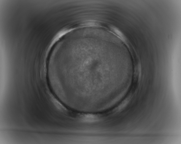 X0000085300787200703301959