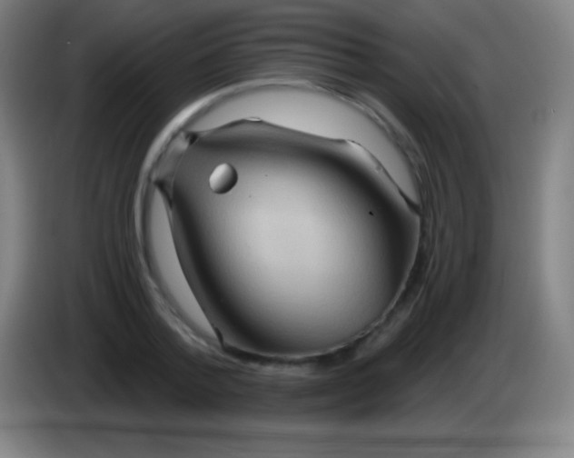 X0000085300788200703301959