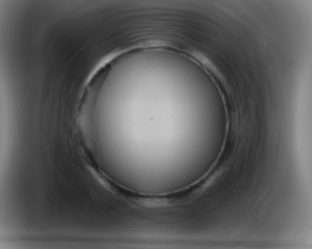 X0000085300789200703301959