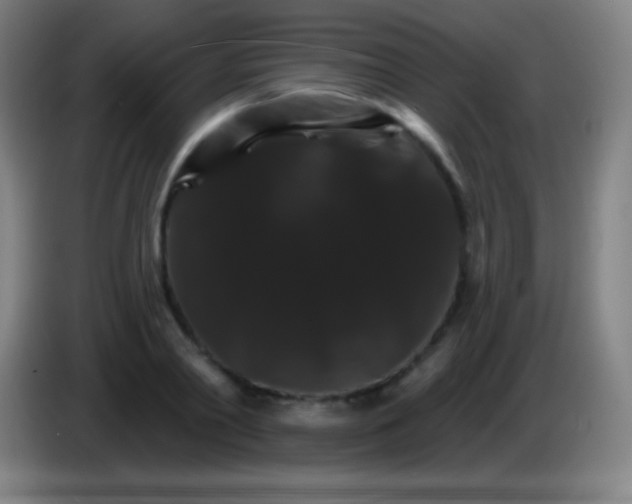 X0000085300790200703301959