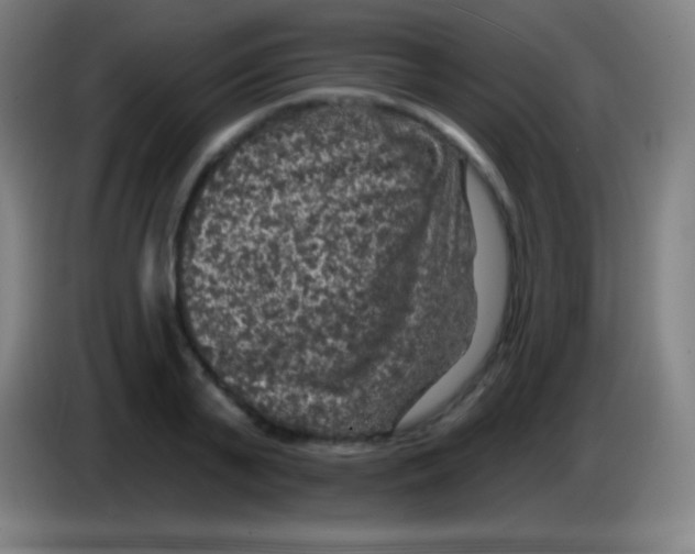 X0000085300791200703301959