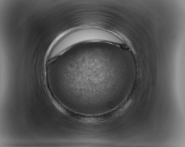 X0000085300792200703301959