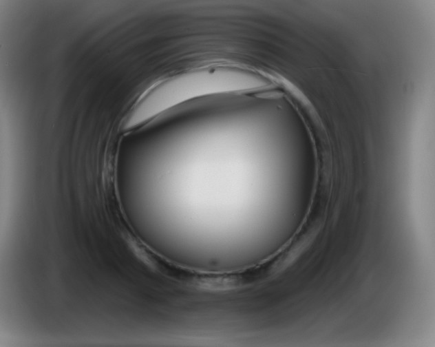 X0000085300793200703301959