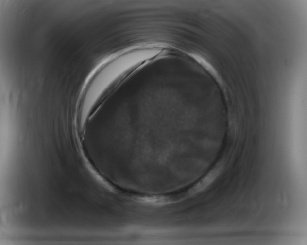 X0000085300797200703301959