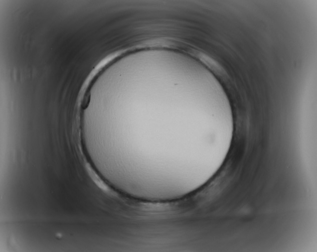 X0000085300800200703301959