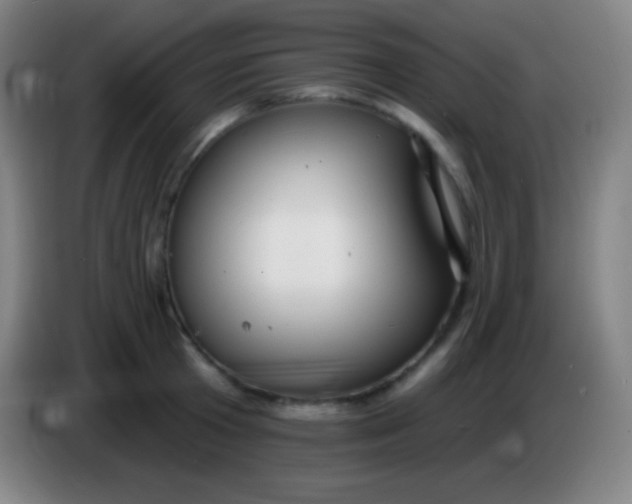 X0000085300801200703301959