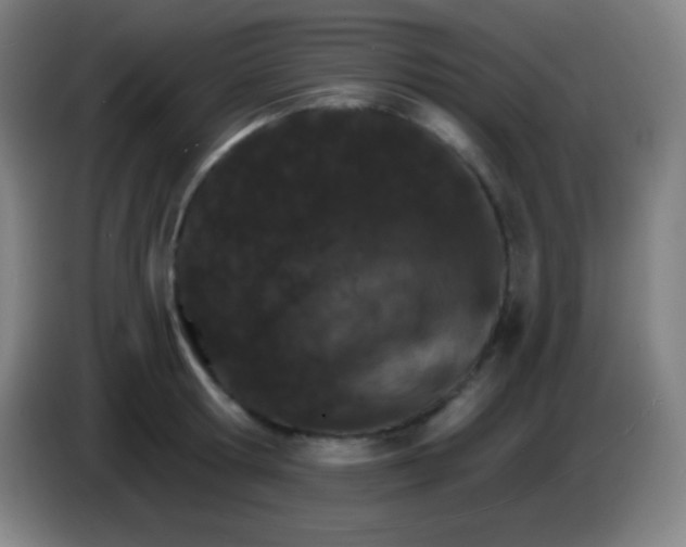 X0000085300802200703301959
