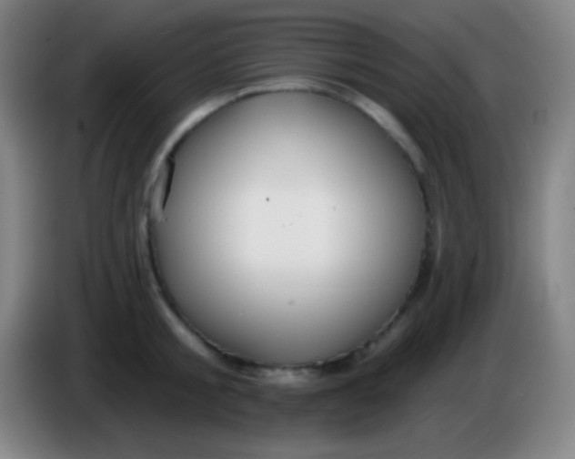 X0000085300805200703301959