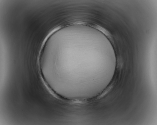 X0000085300806200703301959