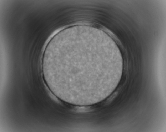 X0000085300808200703301959