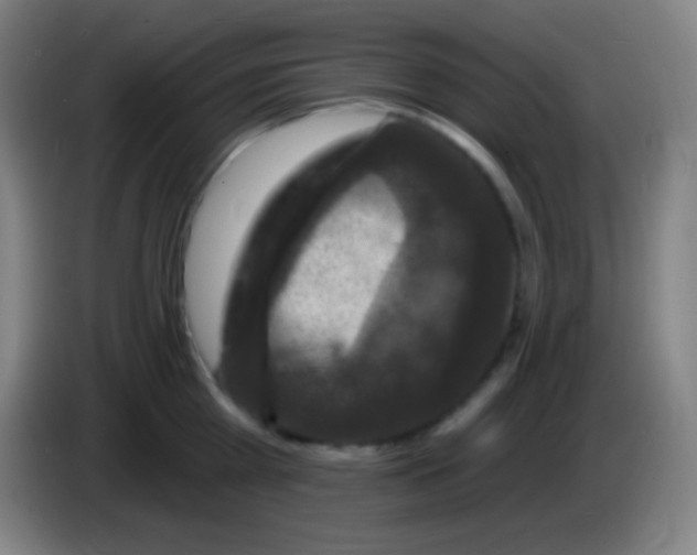 X0000085300809200703301959
