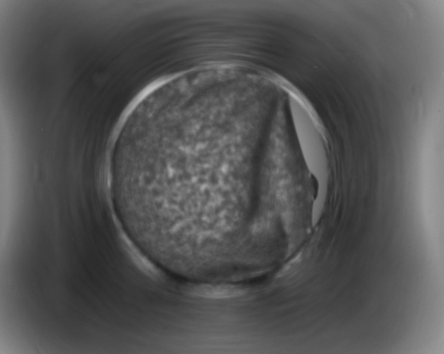 X0000085300811200703301959