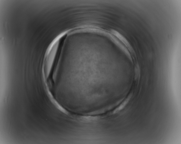 X0000085300812200703301959
