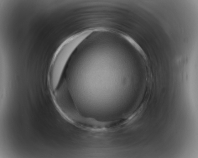 X0000085300813200703301959