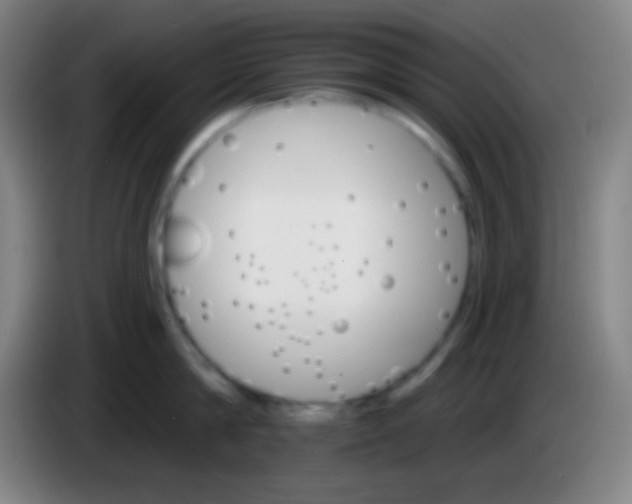 X0000085300814200703301959