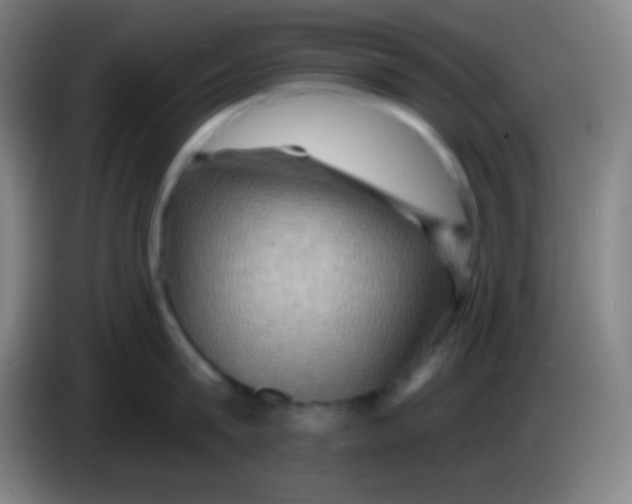 X0000085300815200703301959