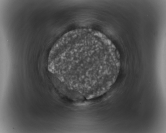 X0000085300817200703301958