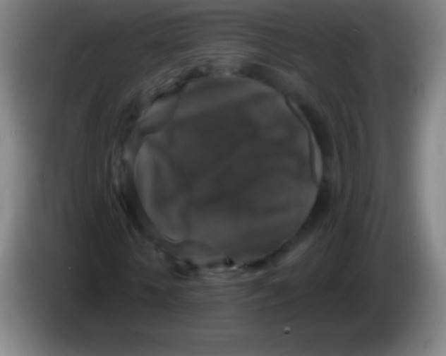 X0000085300818200703301958