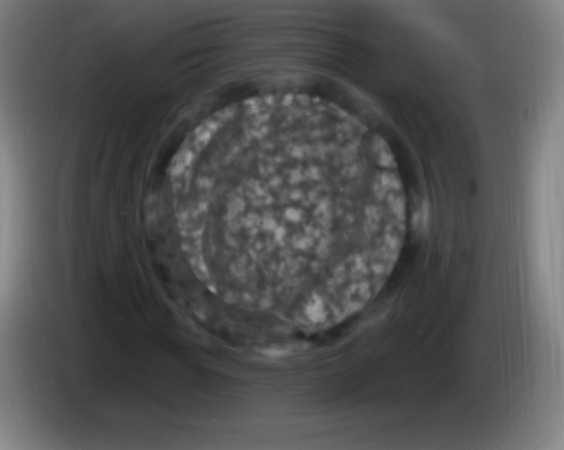 X0000085300819200703301958
