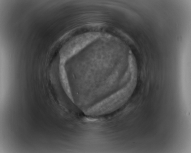 X0000085300821200703301958