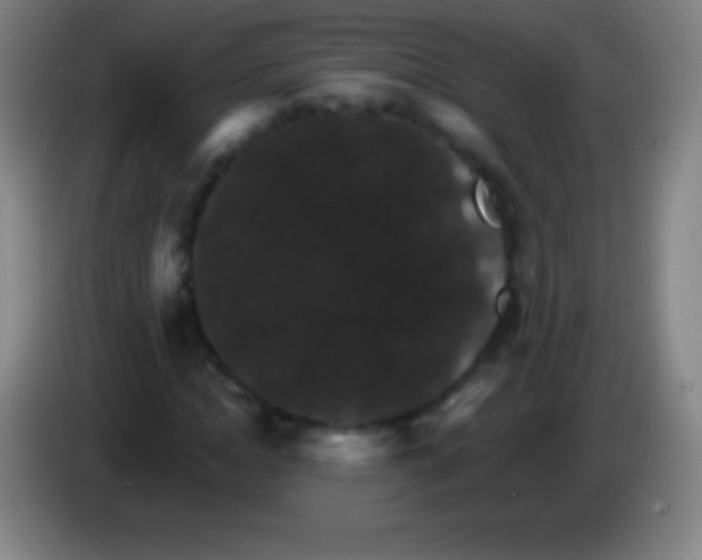 X0000085300822200703301958