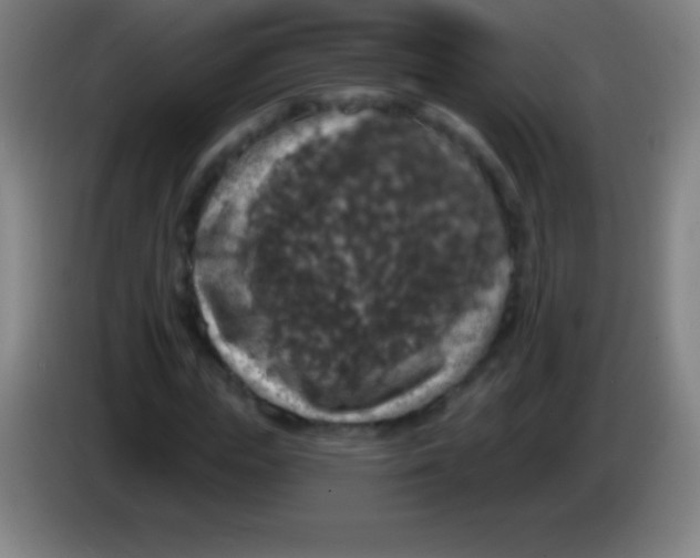 X0000085300823200703301958