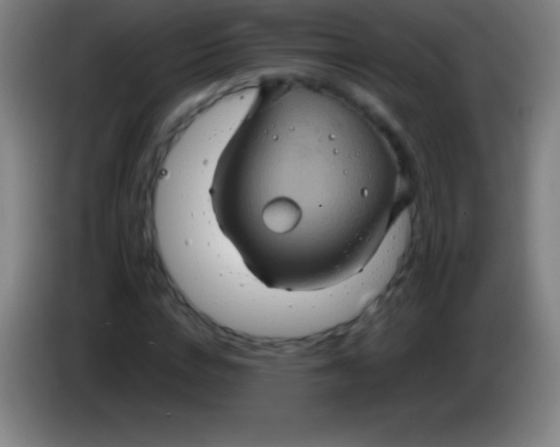 X0000085300824200703301958