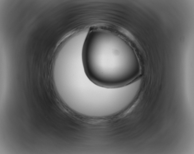 X0000085300826200703301958